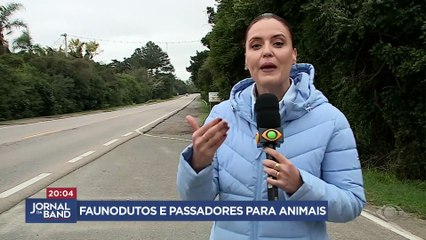 Faunodutos e passadores ajudam a evitar atropelamento de animais