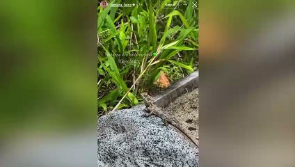 Tamara Falcó presume de su nuevo alojamiento de ensueño en Maldivas