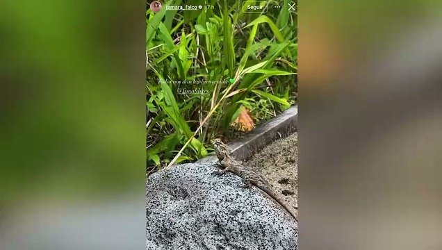 Tamara Falcó presume de su nuevo alojamiento de ensueño en Maldivas