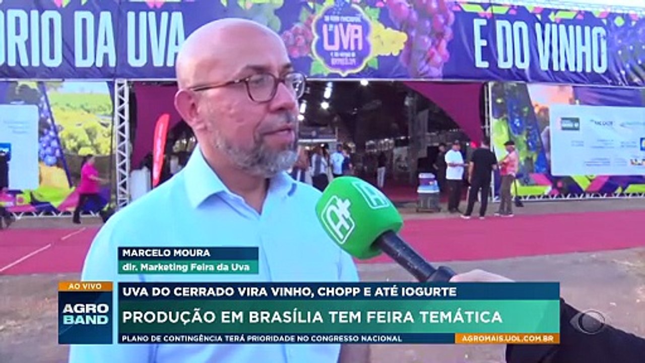 Festival da Uva em Brasília reúne turistas e pequenos produtores