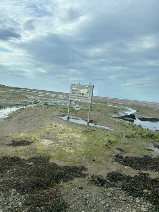 From Dune Fires to Tide Traps: Councillors Appeal for Responsible Tourism Across Northumberland