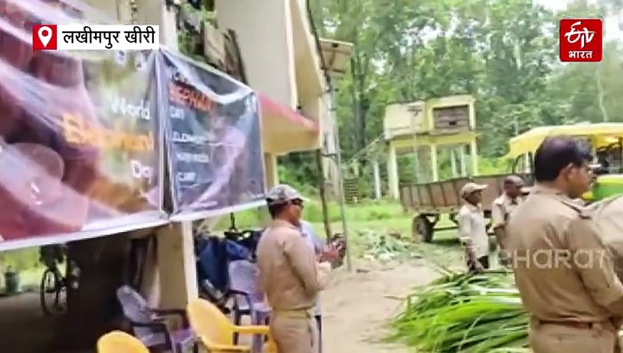 दुधवा टाइगर रिजर्व में हाथियों की दावत; 25 हाथि...