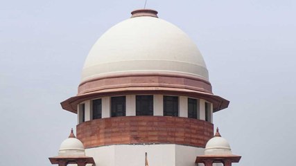 Supreme Court के आदेश पर पेट लवर्स की नाराजगी क्यों?