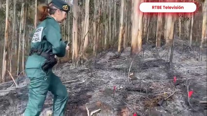 Guardia Civil esclarece incendios forestales en Ávila, y A Coruña, solicita colaboración ciudadana