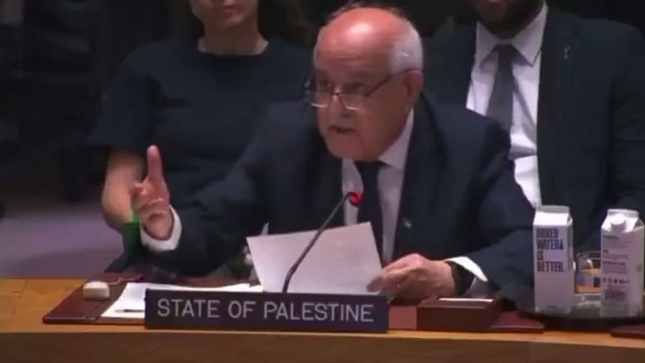 Palestinian ambassador calls for media to enter Gaza hours before Al Jazeera reporters killed