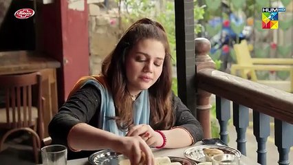Ek Jhooti Kahani Episode 4 - 12th August 2025 - HUM TV