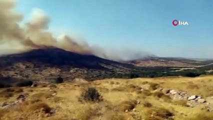 Aliağa’da otluk ve makilik alanda korkutan yangın