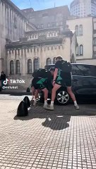 All Blacks solidarios: levantaron un auto para resolver un incidente de tránsito en la Ciudad de Buenos Aires