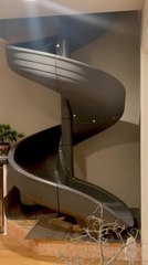 Cat Gets Caught Using Spiral Slide Intended for Grandchildren