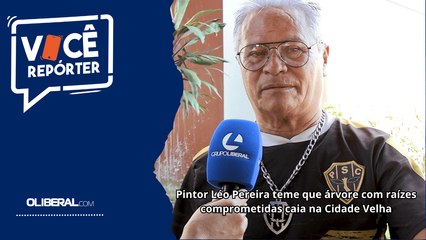 Pintor Léo Pereira teme que árvore com raízes comprometidas caia na Cidade Velha