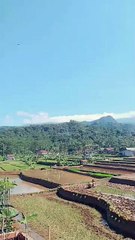Begitu indah suasana di pedesaan