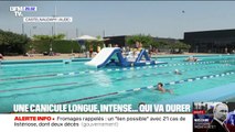 42°C à Bordeaux et Carcassonne, 41°C à Toulouse: les Français s'adaptent face aux fortes chaleurs