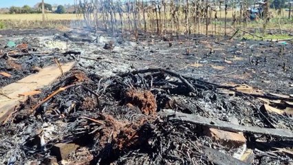 Incêndio ambiental causa devastação no Morumbi