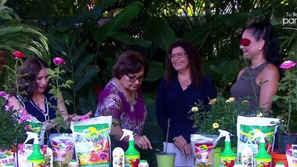 bd-publireportaje-evergreen-120825