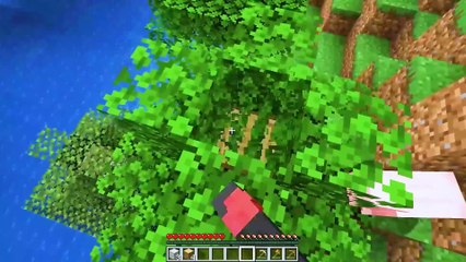 In Minecraft You WILL DIE, As The Water Rises Every 10 Seconds!