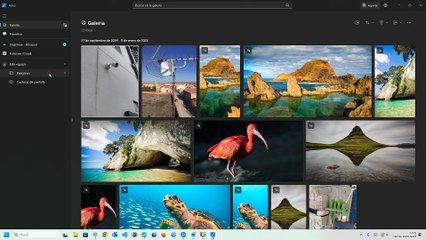 🖼️❌ ¡Limpia Tu Galería! Aprende a Quitar Carpetas de la App Fotos en Windows 11 🚀