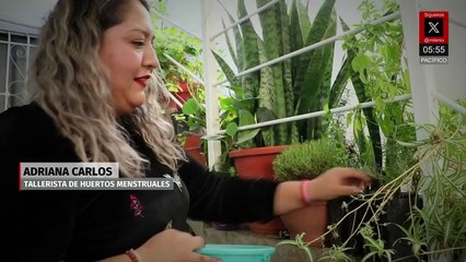 Huertos menstruales, una alternativa natural para la salud femenina en Hidalgo
