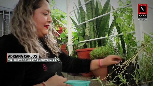 Huertos menstruales, una alternativa natural para la salud femenina en Hidalgo