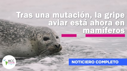 Tras una mutación, la gripe aviar está ahora en mamíferos | 262 | 11 al 17 de agosto 2025