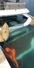 Boat Recovery Crew Recovers Sunken Vessel at Port