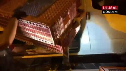 Şanlıurfa'da Narkotik Operasyonu: 28 Kilo Skunk Ele Geçirildi, 2 Kişi Tutuklandı