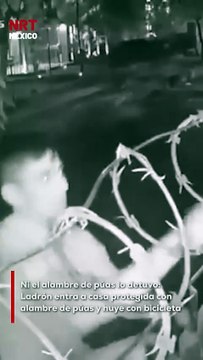 En un audaz robo captado por cámaras de seguridad, un hombre logró entrar a una vivienda que contaba con alambre de púas en la parte superior de la barda. Pese a la aparente protección, el ladrón escaló sin mayor dificultad, tomó una bicicleta y se marchó