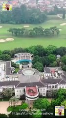 Banquete Del Poder Completo Shorts