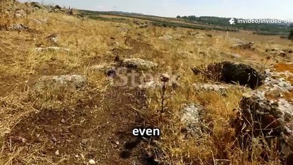 Who Were the Forgotten Apostles?