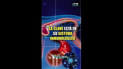 ¿Por qué los gatos viven más que los perros?