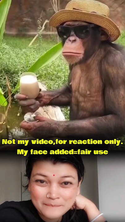 Funny monkey reaction videos🤣