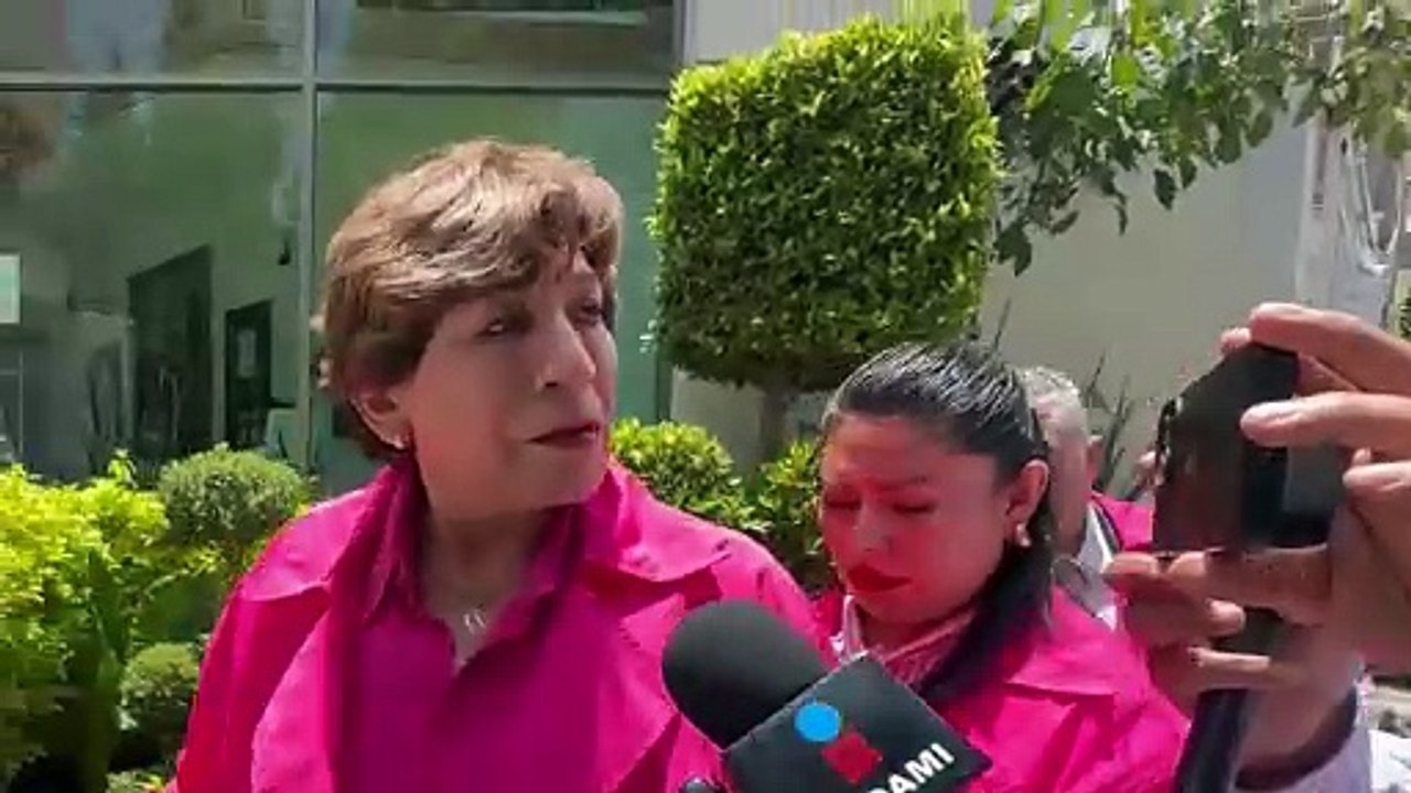 Delfina Gómez caso Dulce