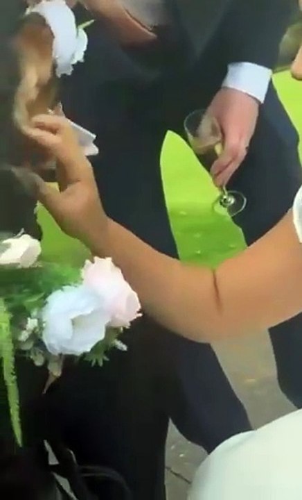 Sussex dog chaperone sees rise in demand as couples say ‘I do’ with their pooches