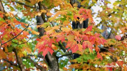 Mosquito and tick season extends into cooler weather