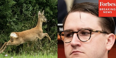 Addison McDowell: Conservation 'Must Never Come At The Expense Of Our Traditions'