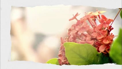 Tập 20 - Trạm Kế Tiếp Hạnh Phúc (Vietsub)_DV Ngô Kiến Hào, An Dĩ Hiên