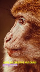 ✅💘Música relaxante para começar o dia com energia positiva- Limpeza emocional e ficar zen- Fragmentos #93