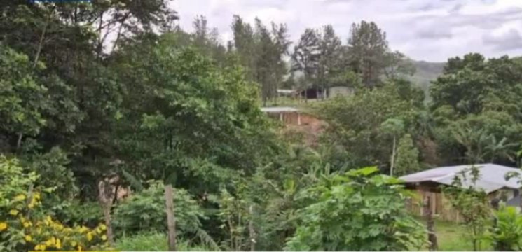 Minsa reporta muerte de menor en Veraguas; había sido previamente tratada por un curandero