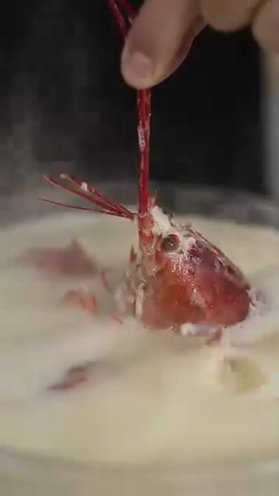 Cooking_Lobster_In_ONLY_Butter(360p)