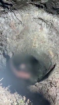 Mesmo negando assassinato, homem indica à polícia local onde corpo da esposa estava enterrado em União dos Palmares