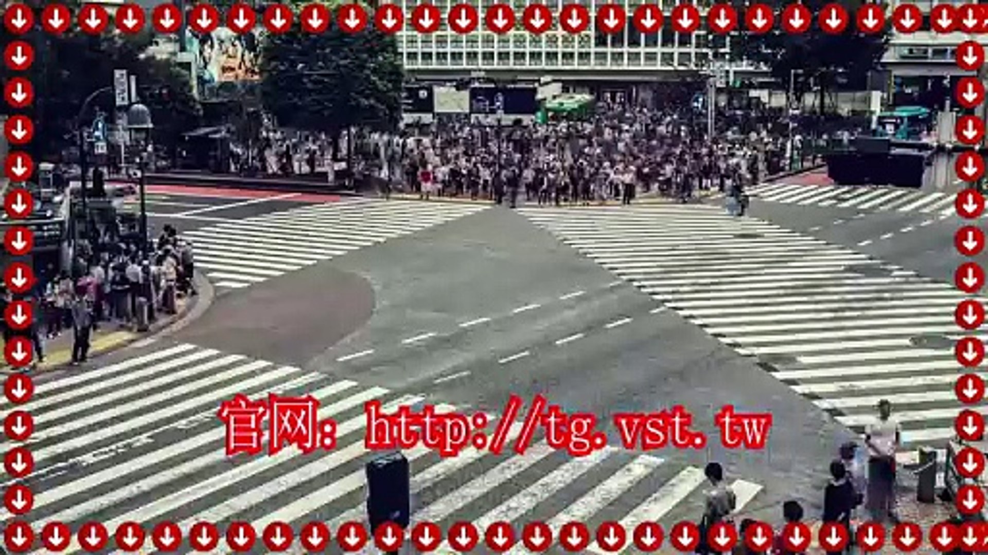 ⁣Telegram行销,电报行销,电报(TG)群控,Telegram筛号.