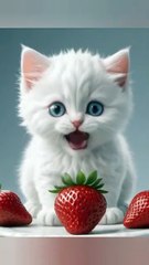 "It Started as a Normal Day… Then Everything Changed"