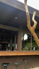 Claasic moments, endless memories.