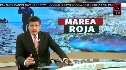 Se reporta presencia de marea roja en las aguas del mar de Yucatán