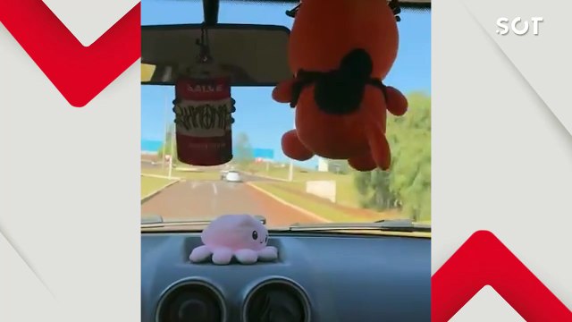 Jovem de 22 anos tenta fugir de abordagem da Guarda Municipal e é detido no Lago Municipal de Cascavel