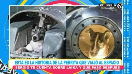 Laika: la historia de la perrita que viajó al espacio