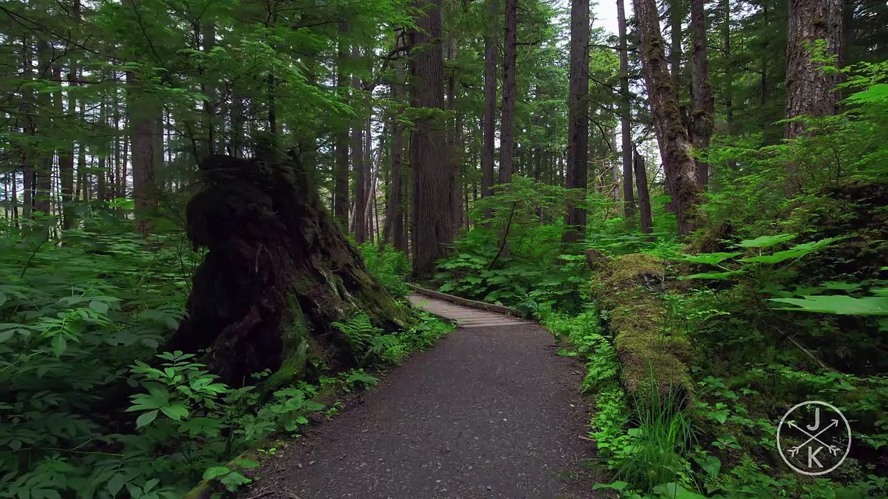 Alaska  Dolby Vision Mendenhall Glacier Explore Juneau we navigate through an Alaskan summer