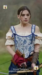 Two Alphas Are In Love With Me Full Hd Shorts