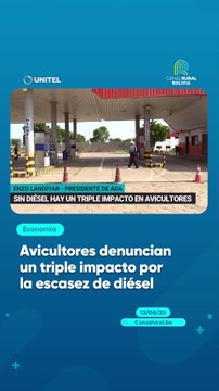 Avicultores denuncian un triple impacto por la escasez de diésel