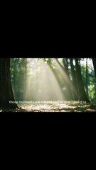 What's Hidden in the Photos She Found in the Mysterious Woods_