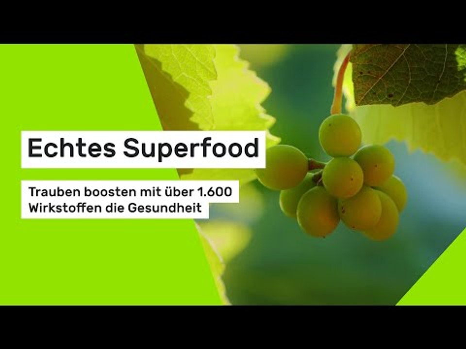 Echtes Superfood: Trauben boosten mit über 1.600 Wirkstoffen die Gesundheit